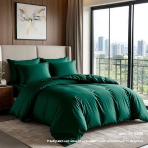 Набор: 2 наволочки сатин гл/кр диз. № 19-5420 (Изумруд)